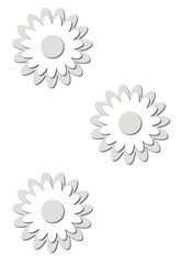 flowers and spirals on a transparent background