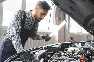 Handsome Car Mechanic is Posing in a Car Service.