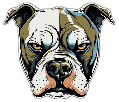 Pitbull Hundekopf Portrait