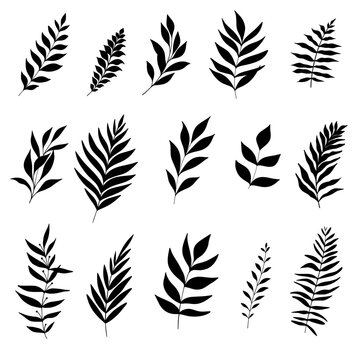 Collection of black silhouettes leaves isolated on white background