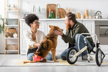 Smiling interracial couple petting handicapped dog near wheelchair in kitchen.