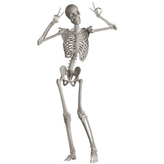 skeleton posing 3d render illustration with transparent background