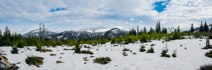 Panorama of the Tatra Mountains. Snow-capped mountain tops. View from the green trail to Rusinowa glade. Poland