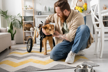 Bearded man petting disabled dog on wheelchair near bowl on floor at home.