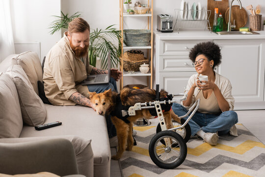 Smiling african american woman holding cup near disabled dog and boyfriend with laptop at home.