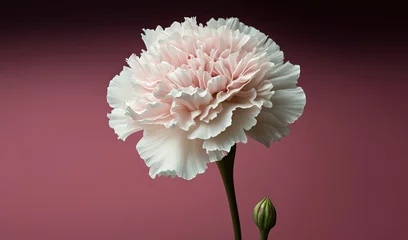 Foto op Canvas  a large white flower on a pink background with a green stem in the center of the flower and a green stem in the middle of the flower.  generative ai © Anna