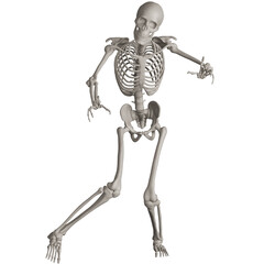 skeleton posing 3d render illustration with transparent background
