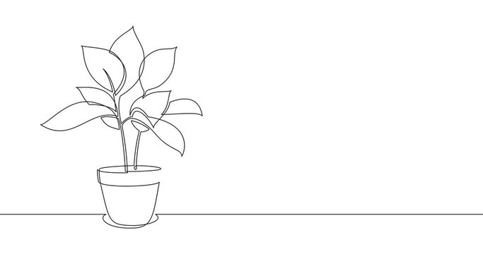 Animation of an image drawn with a continuous line. Houseplant in a pot. Interior detail.