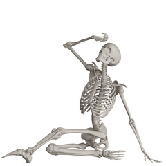 skeleton posing 3d render illustration with transparent background