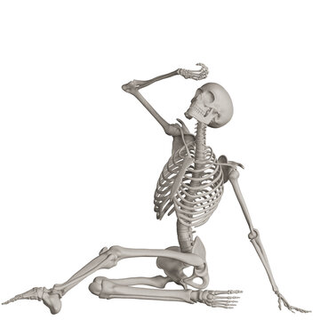 skeleton posing 3d render illustration with transparent background