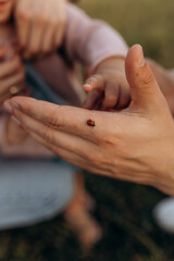 Fototapeta na wymiar Ladybug on dad's hand and child's hand studying nature and getting to know the surrounding world
