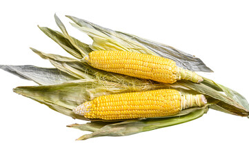 Isolated, transparent background, Cooked corn on cobs with salt and pepper.  Isolated, transparent...