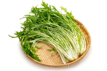 緑黄色野菜の水菜