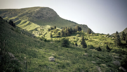 Camins del GR11