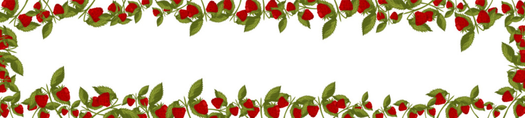 Spring horizontal border with raspberries and leaves. Summer vector banner isolated white background cartoon style..