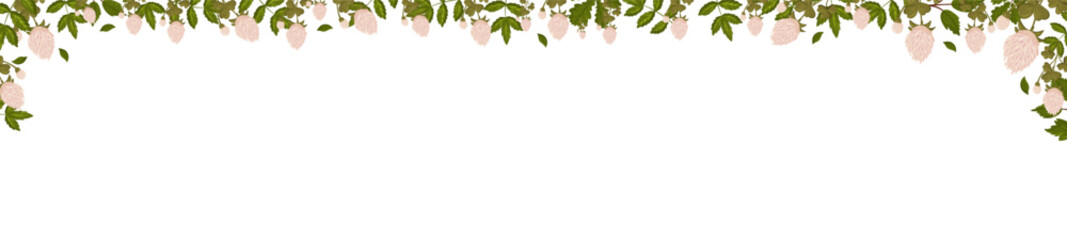 Fototapeta premium Spring horizontal frame with clover flowers, shamrock and leaves. Summer vector banner i