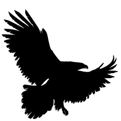 eagle silhouette vector