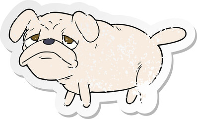 distressed sticker of a cartoon unhappy pug dog