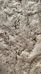 Glitter sparkles shining silver stars on tissue paper background in the sun with shadows. Background