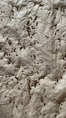 Glitter sparkles shining silver stars on tissue paper background in the sun with shadows. Background