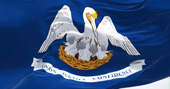 Close-up of the Louisiana state flag