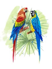 Tropical parrots, blue and yellow macaw ara © Marina