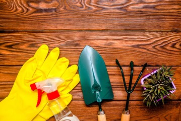 Garden tools on the background of a brown wooden table.
