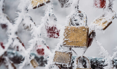 Hoarfrost on love locks