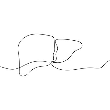 recommend clip art: Single one line drawing liver anatomy. Human organ vector illustration. Medical concept.