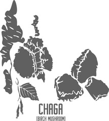 Chaga mushroom vector silhouette. Inonotus obliquus medicinal fungus outline. Set of Birch mushroom in Line for medicine vector image. Contour drawing of Chaga healing mushroom.