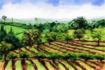 Fototapeta premium Sugar beets grow in rows on plantations. Generative Ai