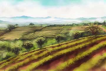 Fototapeta premium Young coffee plantation skyline landscape, watercolor oil painting effect. Generative Ai
