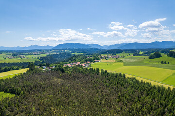 aerial view of green fields of allgaeu and meadows and alps in the background