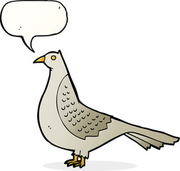 cartoon bird with speech bubble