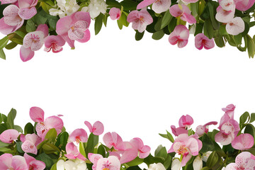 Fototapeta na wymiar Flower border on transparent background