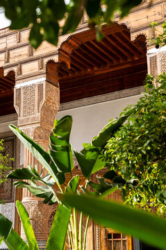 Palm and orange trees in the garden of a palace in Marrakech