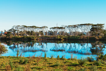 Rural scene in northern nsw, small river with trees