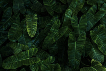 Fototapeta premium green leaves background in the garden