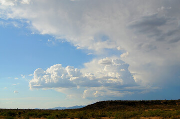 Naklejka na ściany i meble Storm Clouds Sonora Desert Arizona