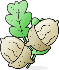 cartoon acorns