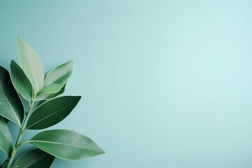 Minimalistic Slight Blue Background with Beautiful Leaves - AI Generated