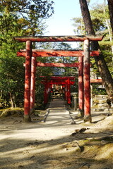 Fototapeta na wymiar Torii of Shiroyama Inari Jinja or Shrine at Ueno Park in Iga, Mie, Japan - 日本 三重県 伊賀市 上野公園 俳聖殿 城山稲荷神社 鳥居