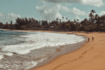 Beach views kauai Island Hawaii 