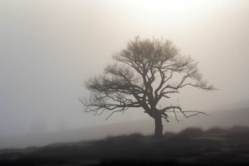 Obraz premium tree in fog, generative AI