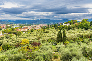 Fototapeta na wymiar Blick auf Bäume und Häuser in Florenz, Italien