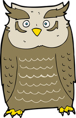 cartoon owl