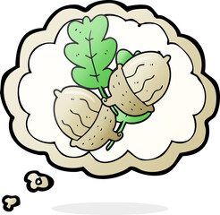 thought bubble cartoon acorns
