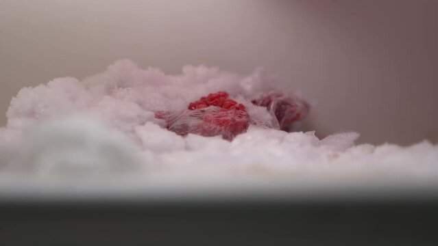 Raspberries in a transparent plastic bag in the snow in the freezer of the refrigerator. Winter stocks of berries in spring. Smooth camera movement in an empty fridge
