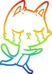 rainbow gradient line drawing crying cartoon cat running
