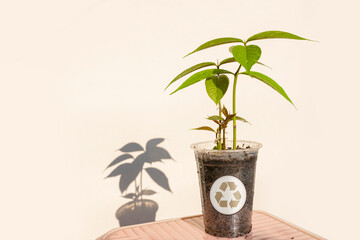 Plant seeds in used plastic cups. Recycling concept. to reduce waste to zero and reforestation to...